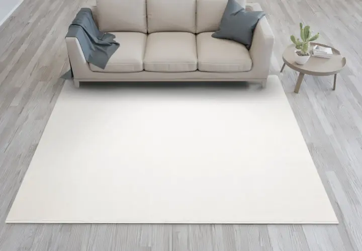 Jasna sofa w kolorze kość słoniowa, z niebieskim kocem i poduszką, stoi na jasnym dywanie. Obok stolik z kaktusem.