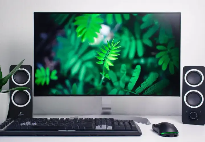 Jaki monitor dla grafika - wybierz idealny model dla swojej pracy
