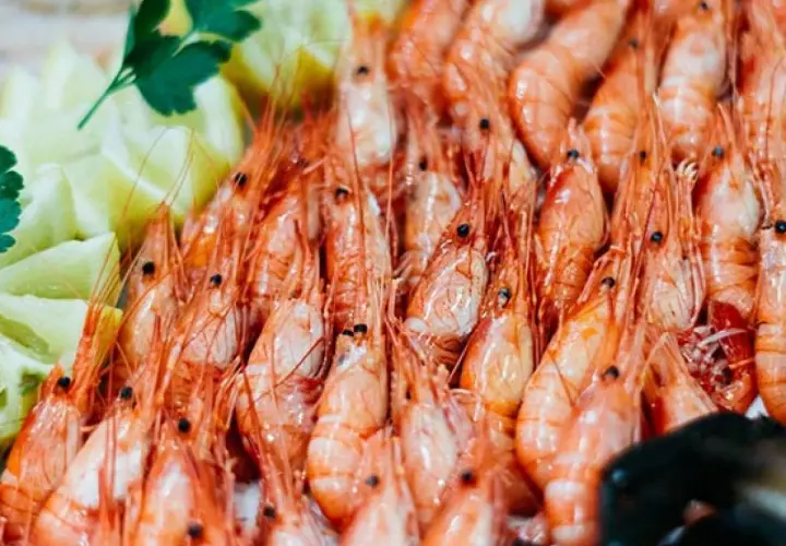 Diferencia entre gambas y camarones: lo que no sabías sobre ellos