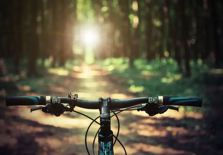 Ile kalorii spalisz na rowerze podczas jazdy 40 km? Sprawdź!