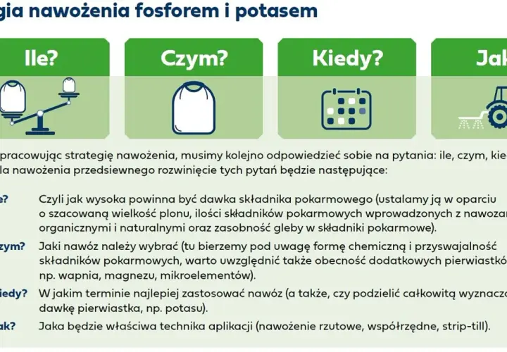 Jak stosować naturalny nawóz potasowy - skuteczne techniki