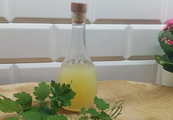 Balsam Bołotowa na co pomaga: Odkryj jego niezwykłe właściwości zdrowotne