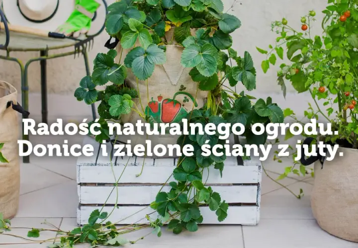 Jak zrobić nawadniacz do kwiatów z butelki i oszczędzić czas na podlewaniu