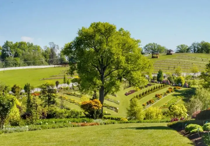 Najlepszy czas na wizytę w Arboretum Wojsławice – uniknij rozczarowania i zaplanuj idealną wycieczkę