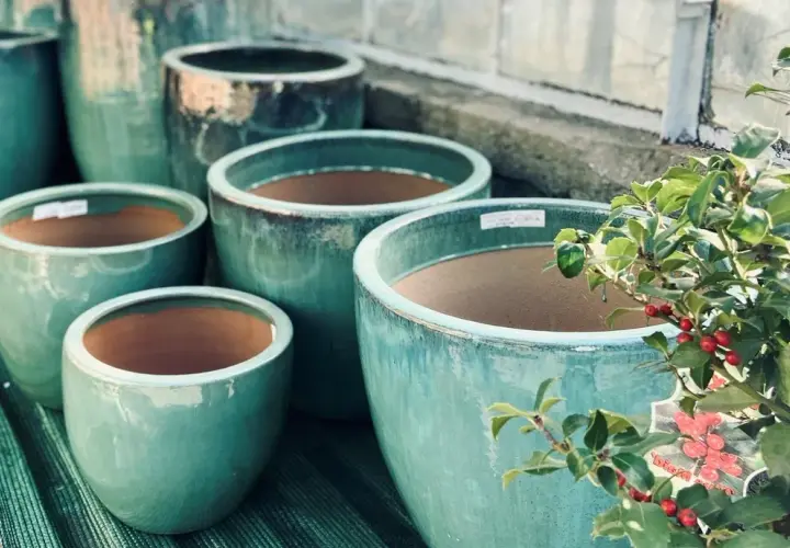 Jak prawidłowo wyrzucać doniczki ceramiczne - poradnik recyklingu
