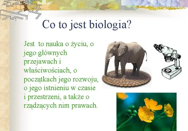 Biologia co to jest? Prosta definicja, zastosowania i główne działy nauki