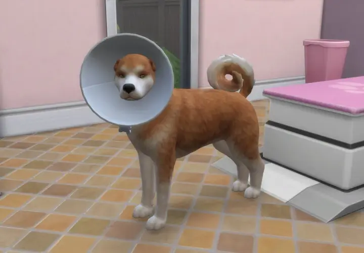 Odbierz za darmo dodatek The Sims 4 ze zwierzętami domowymi