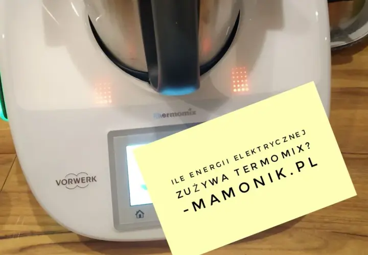 Czy thermomix pobiera dużo prądu? Sprawdź koszty energii!