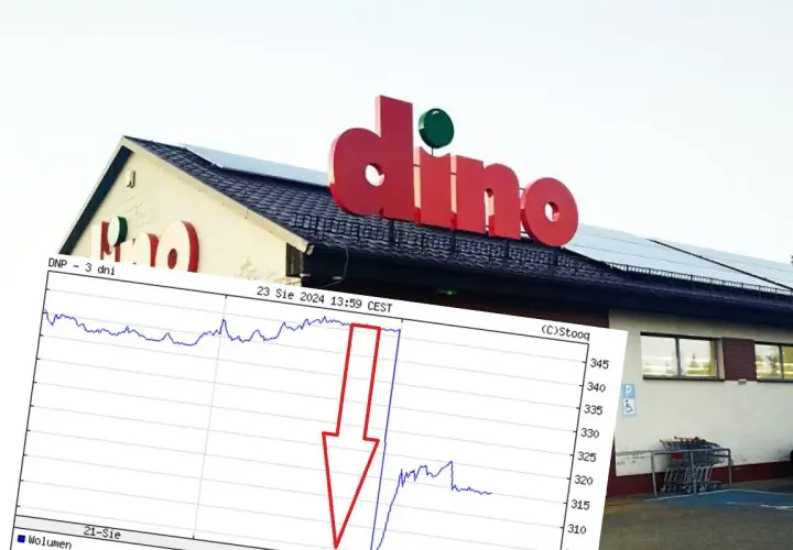 Dino Relacje Inwestorskie: Klucz do Sukcesu na Giełdzie