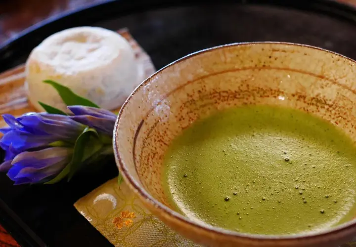 Jak zrobić herbatę matcha w domu – prosty przepis i porady dla początkujących