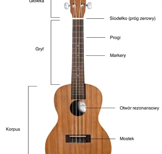 Jakie ukulele dla początkujących: wybierz najlepszy model bez błędów