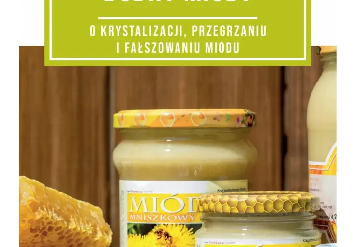 Jak rozpoznać dobry miód i uniknąć zakupu podróbki – praktyczne porady