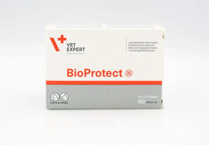 Bioprotect dla psa: skuteczne dawkowanie i zastosowanie probiotyku