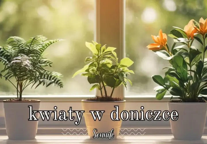 Co oznaczają zielone kwiaty doniczkowe w senniku - pełna interpretacja snu