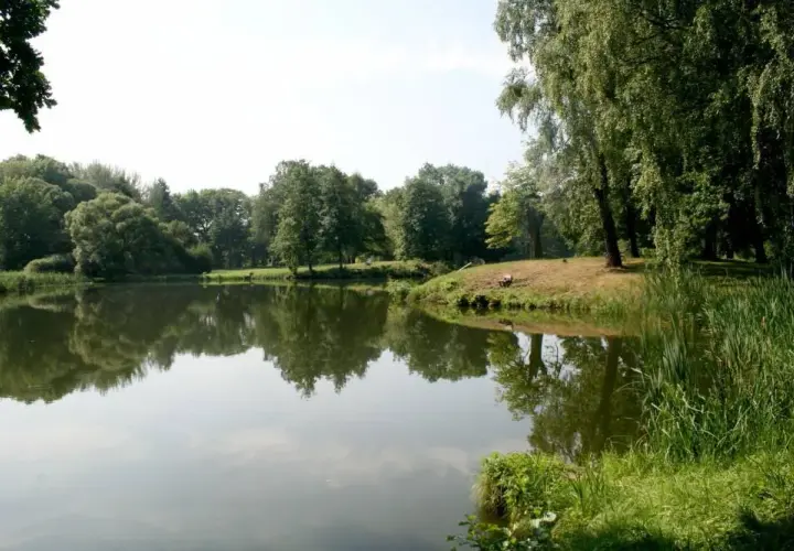 Najlepsze atrakcje w parku Świerklaniec, które musisz zobaczyć
