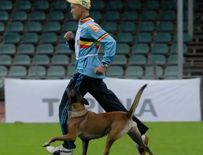 IPO sport: jak zacząć treningi z psem i osiągnąć sukces w zawodach