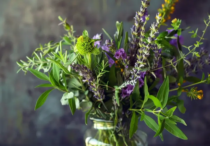 Jak stworzyć piękny i aromatyczny bukiet z ziół? Poradnik DIY