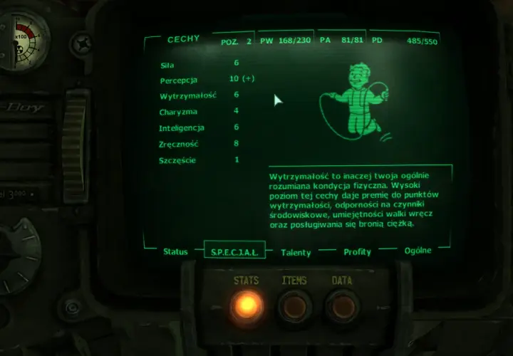 Spolszczenie Fallout 3: Jak bez problemu dodać polski dubbing do kultowej gry