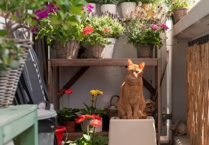 Jak urządzić mały balkon w bloku, by stał się przytulną oazą?
