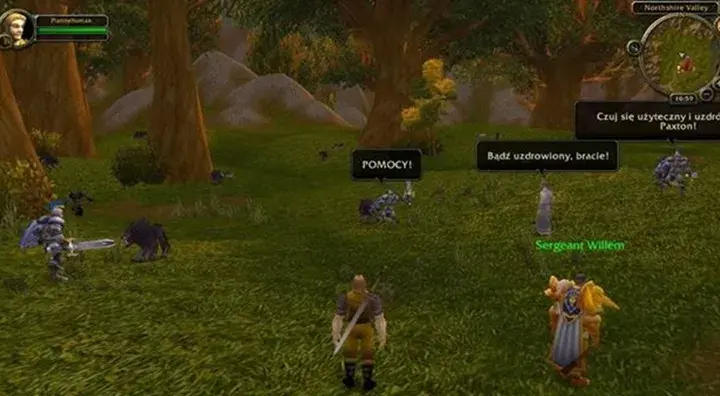 World of Warcraft spolszczenie: Jak grać w WoW po polsku?