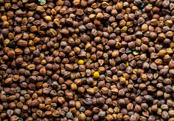 Grain na gram: precyzyjna konwersja jednostek masy dla Ciebie