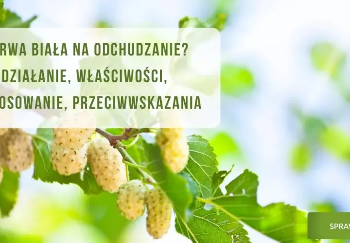 Prawidłowe dawkowanie herbaty z morwy białej - skuteczna kuracja w domu