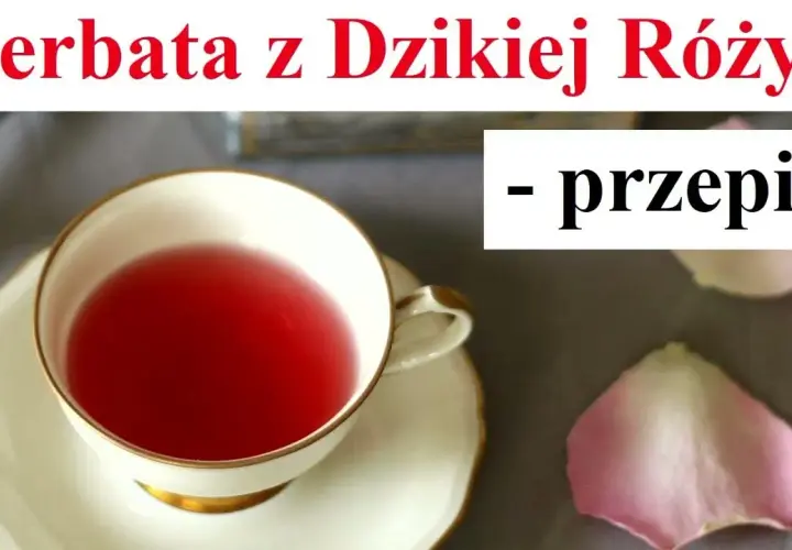 Jak zrobić herbatę z dzikiej róży: prosty przepis krok po kroku