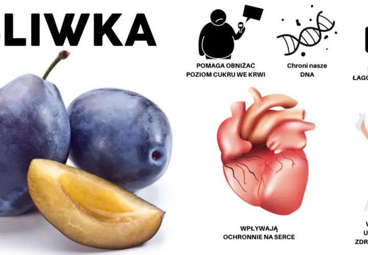 Czy śliwki są zdrowe? Poznaj ich wartości odżywcze i korzyści zdrowotne