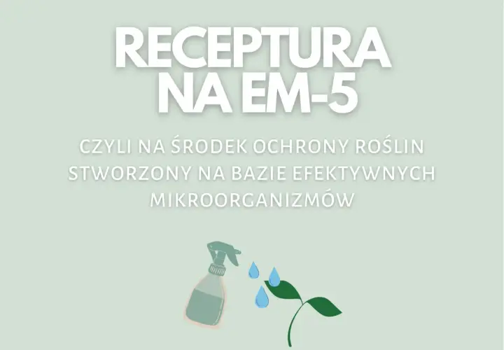 Jak samemu zrobić efektywne mikroorganizmy i poprawić plony w ogrodzie