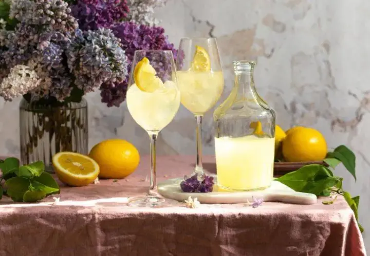 Limoncello drink – orzeźwiające przepisy na koktajle, które zachwycają