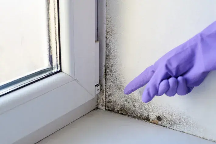 Jak skutecznie usunąć pleśń przy oknach: 5 sprawdzonych metod
