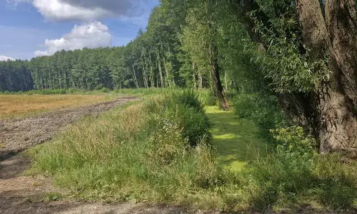 Najlepsze trasy rowerowe w Iławie – odkryj ukryte skarby regionu