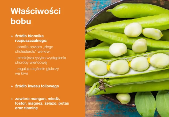 Czy bób jest zdrowy? Poznaj prawdę o wartościach odżywczych i korzyściach
