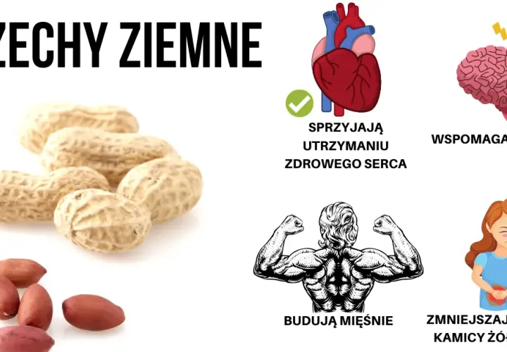 Czy orzeszki ziemne są zdrowe? 5 faktów o wpływie fistaszków na organizm