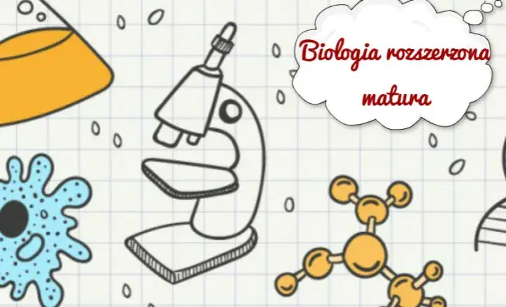 Czy rozszerzona biologia jest trudna? Sprawdź, jak sobie z nią poradzić na maturze