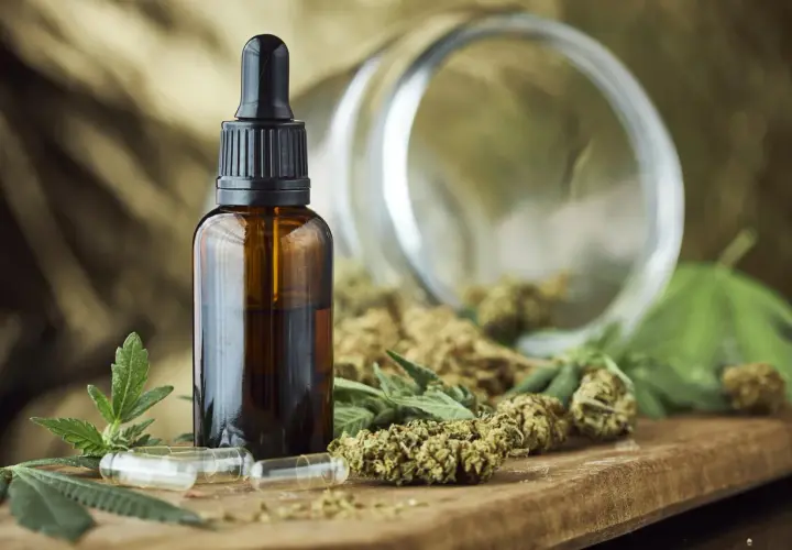 Marihuana w medycynie: zastosowania, korzyści i skutki uboczne