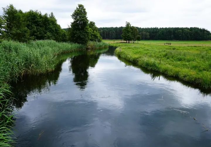 Gdzie na kajaki Pomorskie - najlepsze trasy i ukryte perełki