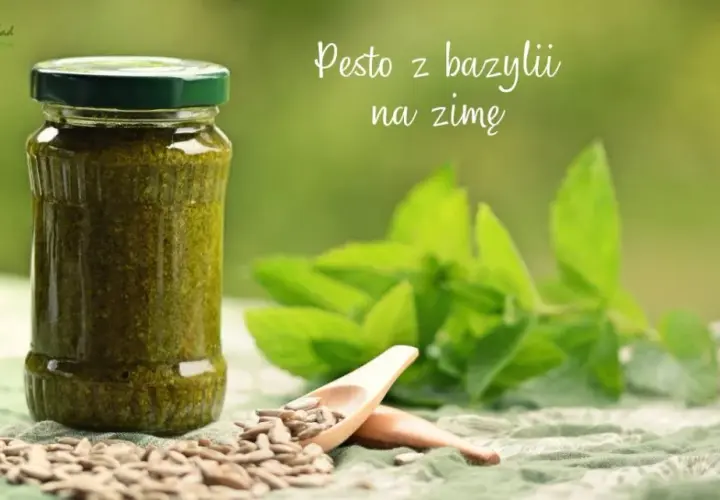 Jak zrobić pesto z bazylii na zimę - prosta receptura na zapas