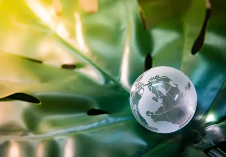 Najnowsze trendy w szkoleniach z ochrony środowiska: jak być na bieżąco z przepisami esg