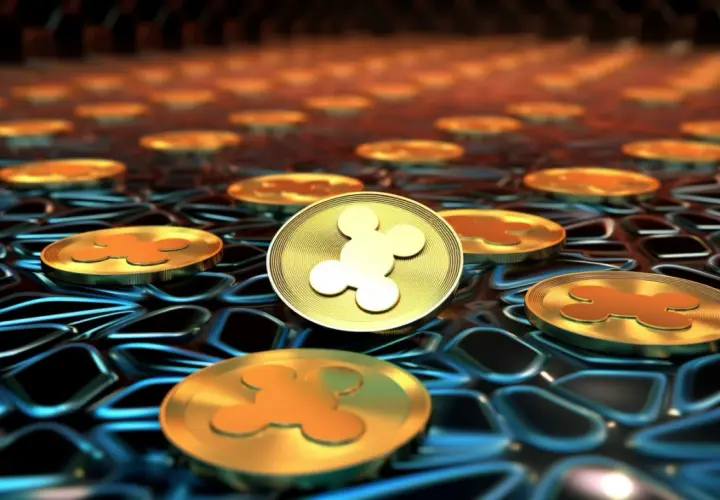 Niespodziewane odkrycie dotyczące Ripple (XRP) w batalii sądowej z SEC