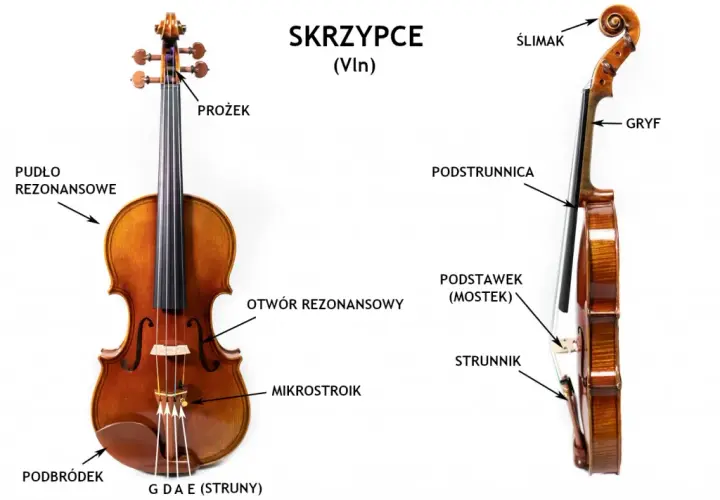 Jak powstały instrumenty smyczkowe? Odkryj ich fascynującą historię