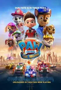 Najlepsze filmy o pieskach, które wzruszą i bawią każdego miłośnika psów