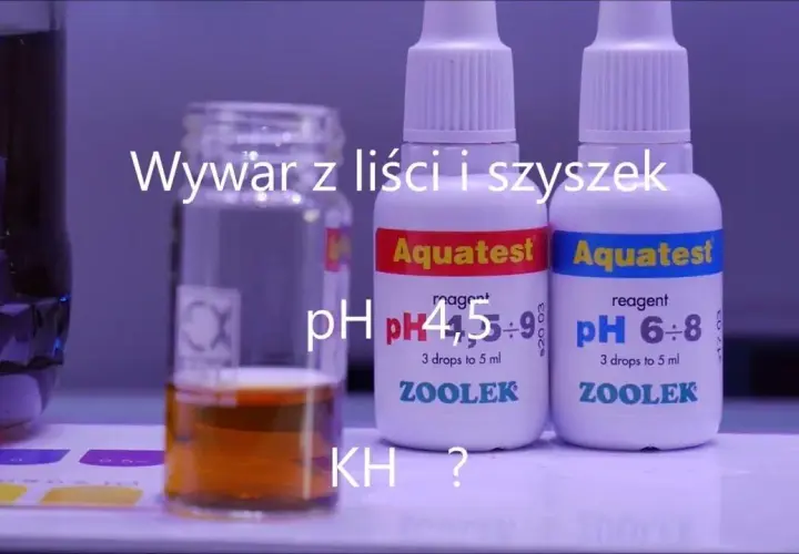 Jak obniżyć KH w akwarium i poprawić zdrowie ryb bez stresu