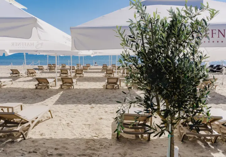 Piękna plaża w Sopocie z leżakami i parasolami, idealne miejsce na relaks i atrakcje dla dzieci.