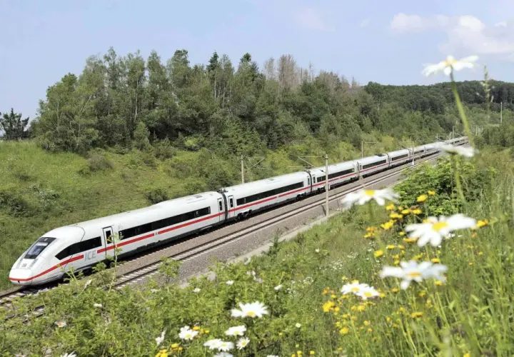 Pociąg ICE DB pędzi przez zielone wzgórza, otoczony polnymi kwiatami.