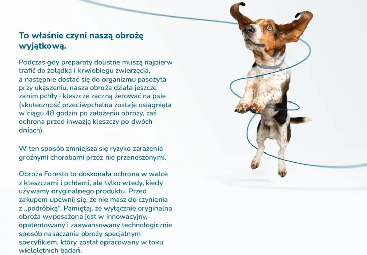 Od kiedy można założyć psu obrożę przeciwpchelną, aby uniknąć problemów zdrowotnych?