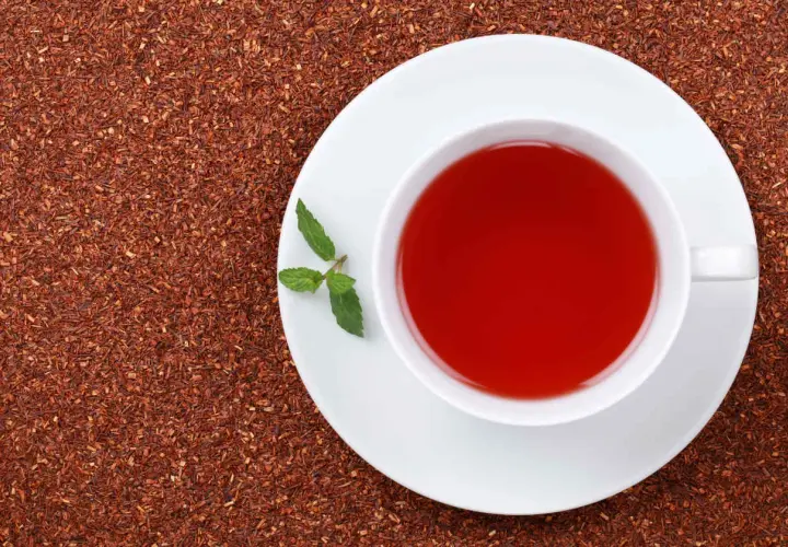 Taza de té rojo con menta, rodeada de hojas secas. Descubre los te rojo beneficios para tu bienestar.