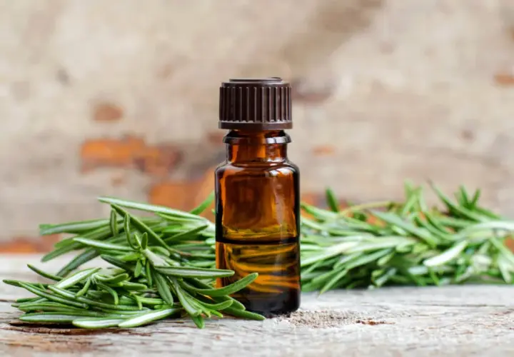 Aceite esencial de romero para el pelo, con ramitas frescas de romero sobre madera rústica.
