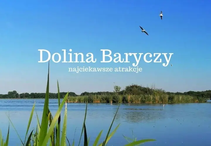 Spokojna tafla wody, trzciny i dwa ptaki w locie nad Doliną Baryczy.