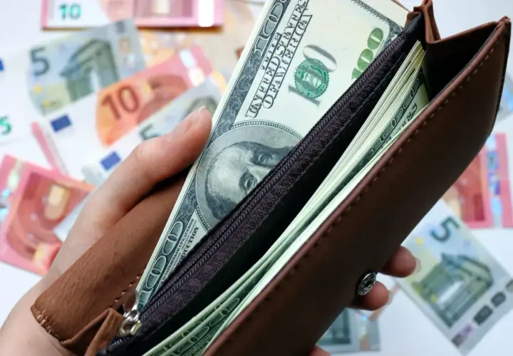 Dłoń trzyma brązowy portfel z banknotami dolarowymi. W tle widać euro. Czy warto inwestować w dolary?